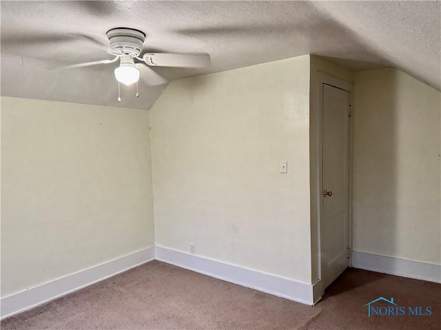 additional living space with carpet flooring, lofted ceiling, and a textured ceiling