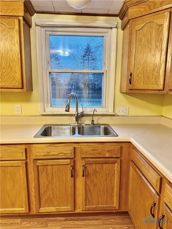 kitchen featuring sink and light wood-type flooring