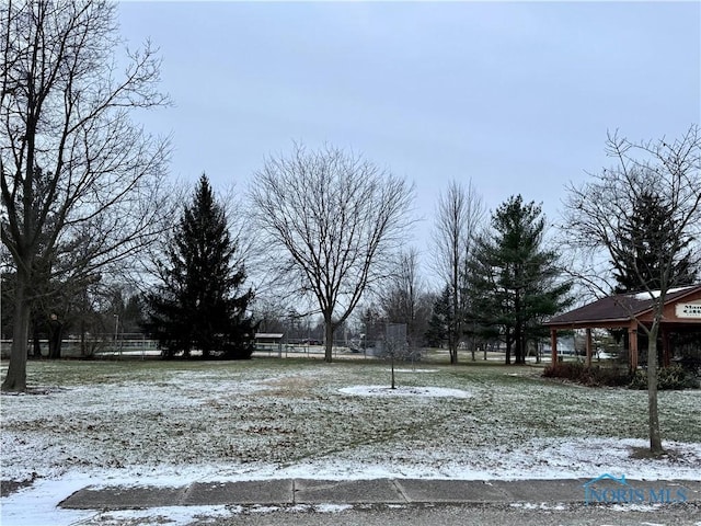 view of yard layered in snow