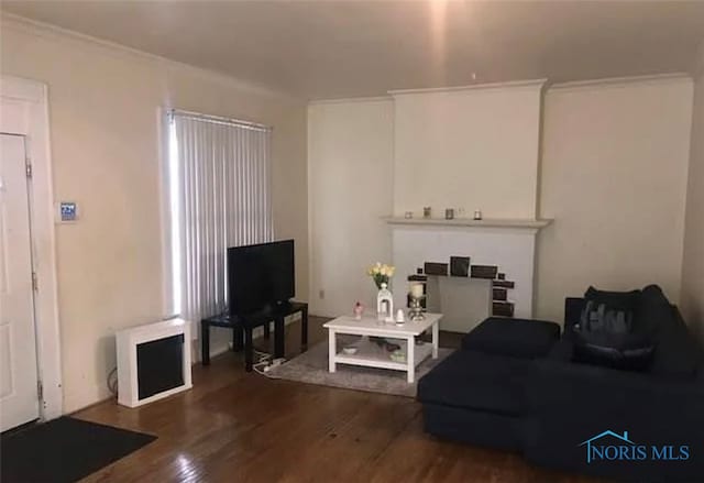 living room with dark hardwood / wood-style floors