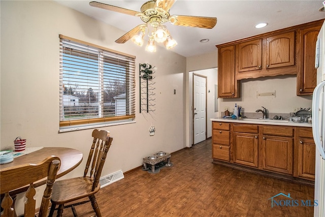 kitchen with ceiling fan, sink, and dark wood-type flooring