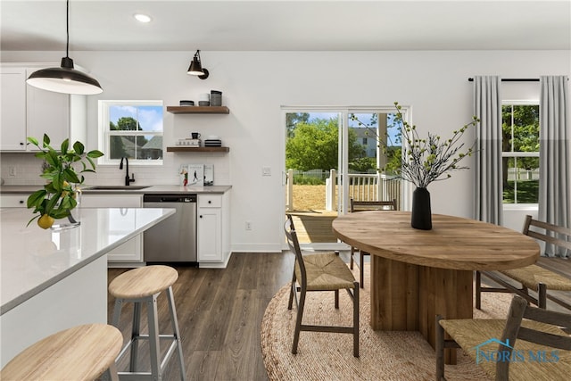 interior space featuring stainless steel dishwasher, decorative light fixtures, white cabinetry, and tasteful backsplash