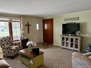 living room with carpet floors and ornamental molding