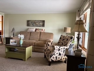 living room featuring carpet