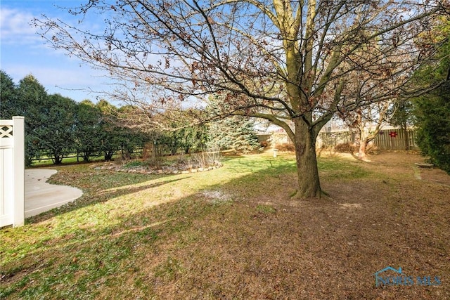 view of yard with a patio area