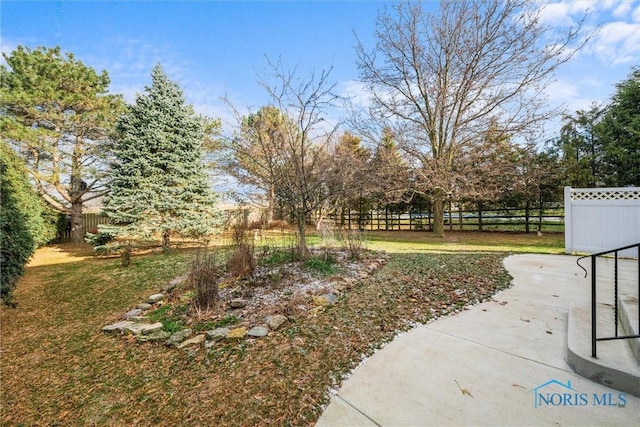 view of yard featuring a patio