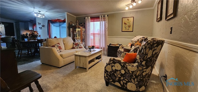 living room with carpet flooring, crown molding, and a textured ceiling