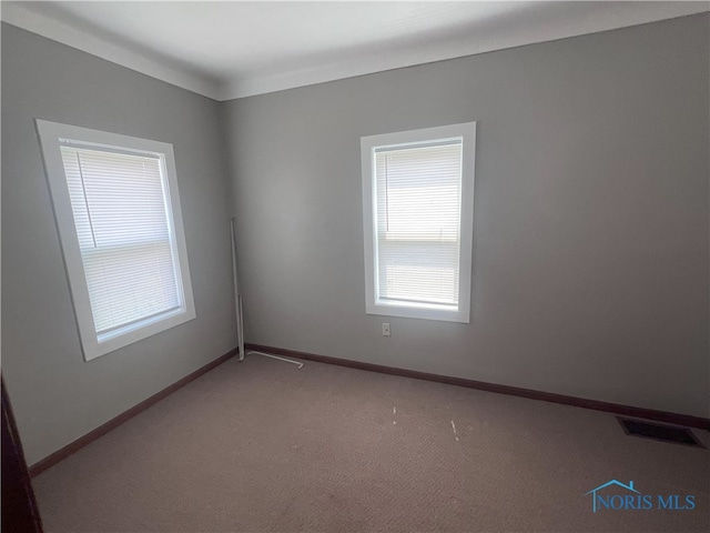 spare room featuring carpet floors