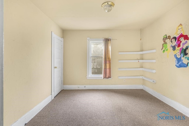 spare room with carpet