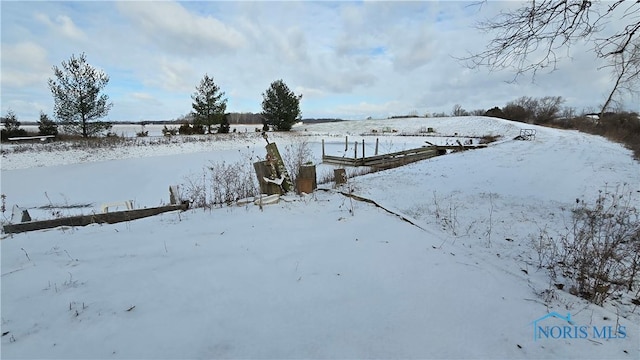 view of yard covered in snow