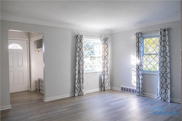 interior space featuring a wealth of natural light and dark wood-type flooring