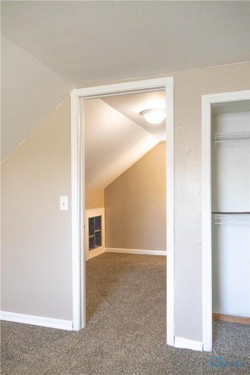 additional living space featuring carpet and vaulted ceiling