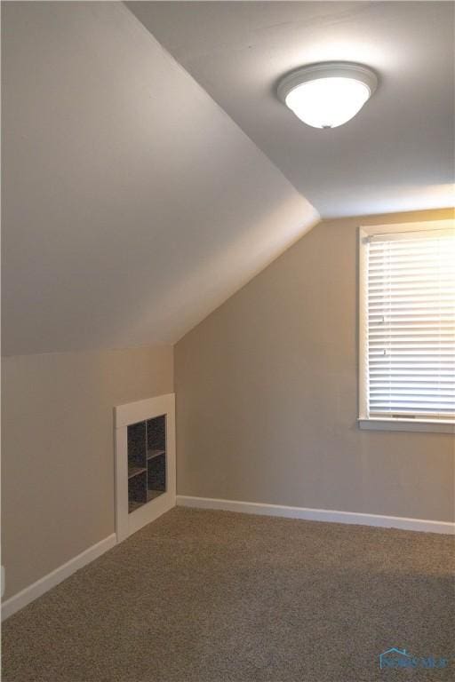 additional living space with carpet floors and lofted ceiling