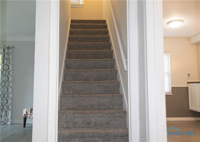 staircase featuring hardwood / wood-style flooring