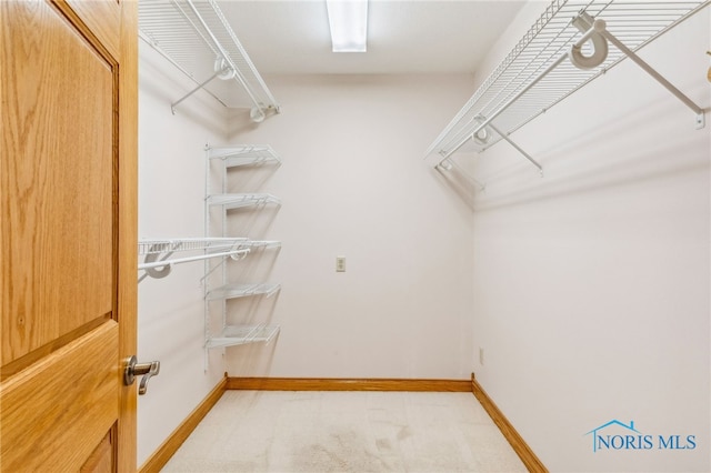 walk in closet with carpet flooring