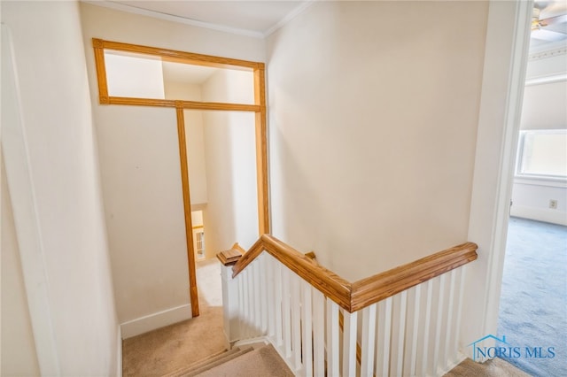 stairs with carpet flooring and ornamental molding