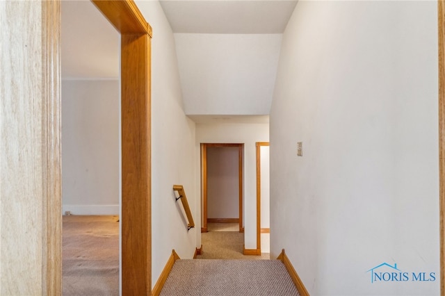 hallway featuring light colored carpet