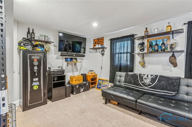 living room with light carpet and a textured ceiling