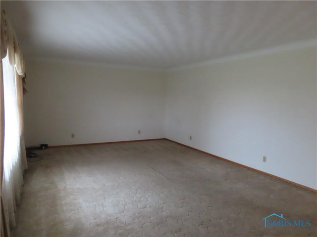 unfurnished room featuring light carpet