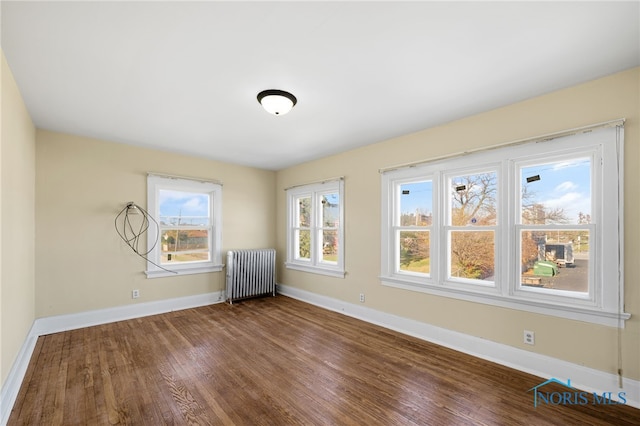 1919 Brookwood Ave, Toledo, OH 43604 - spare room featuring a wealth of natural light, hardwood / wood-style flooring, and radiator