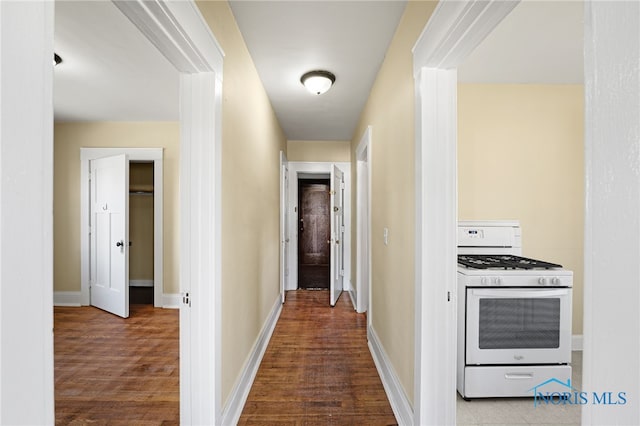 1919 Brookwood Ave, Toledo, OH 43604 - hallway with hardwood / wood-style floors