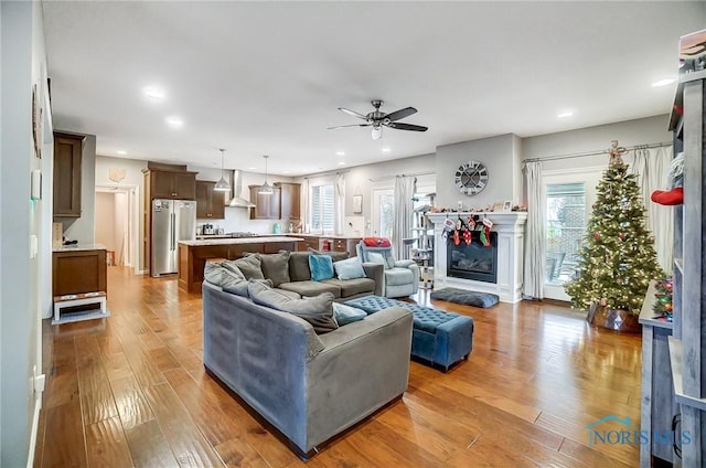 living room featuring light hardwood / wood-style floors and ceiling fan