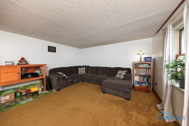 carpeted living room with a textured ceiling