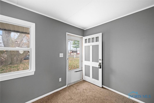 interior space featuring carpet and ornamental molding