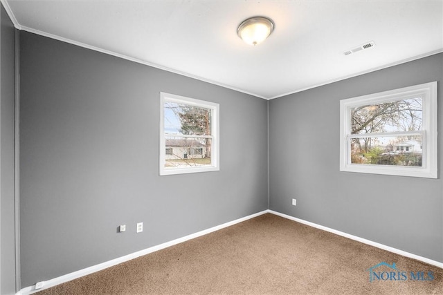 empty room featuring carpet flooring and crown molding