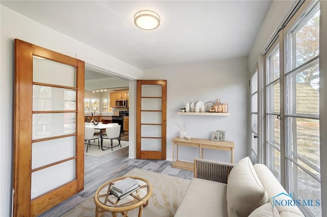 living room with light hardwood / wood-style floors and french doors