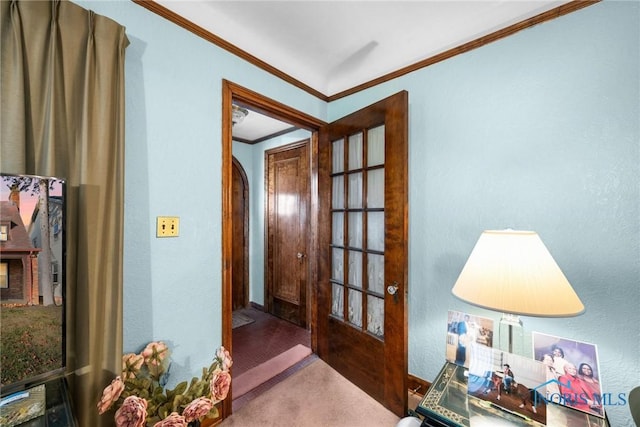 interior space with carpet floors and crown molding