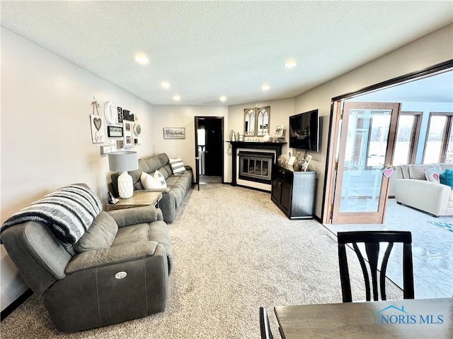 carpeted living room with a textured ceiling