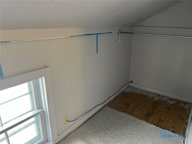 walk in closet with lofted ceiling and hardwood / wood-style flooring