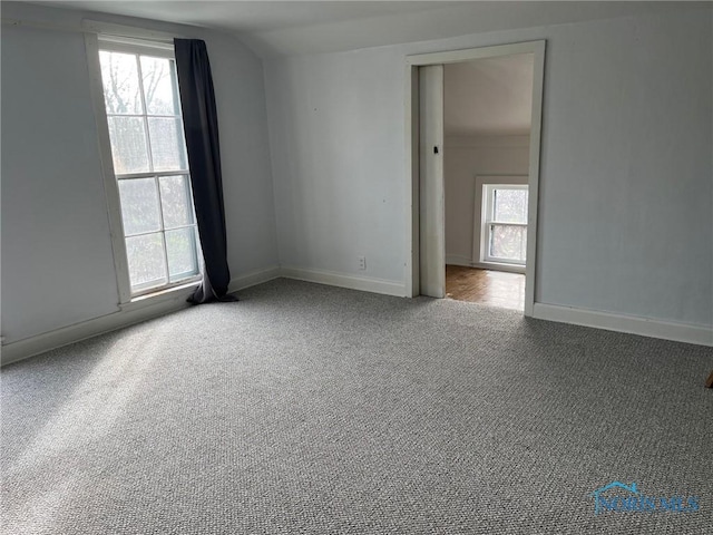 spare room with a wealth of natural light, carpet floors, and vaulted ceiling