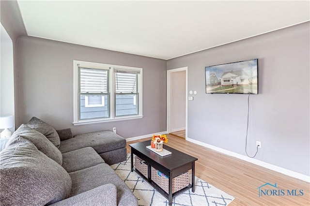 living room featuring light hardwood / wood-style flooring