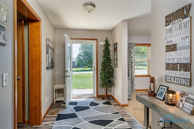 entryway with dark hardwood / wood-style floors