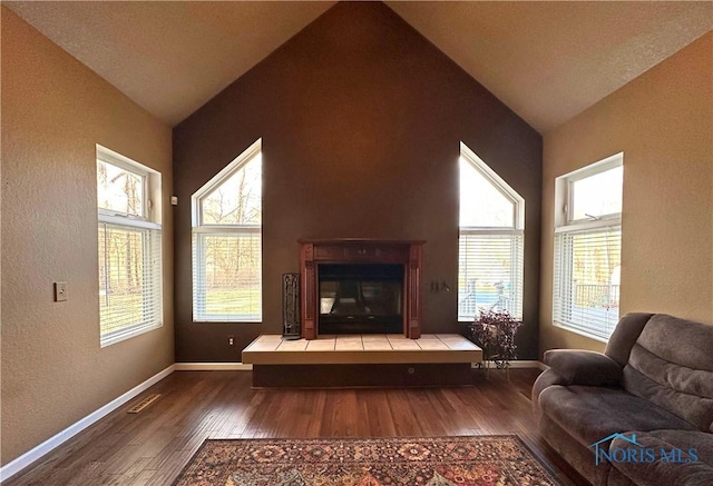 living room featuring wood-type flooring and lofted ceiling