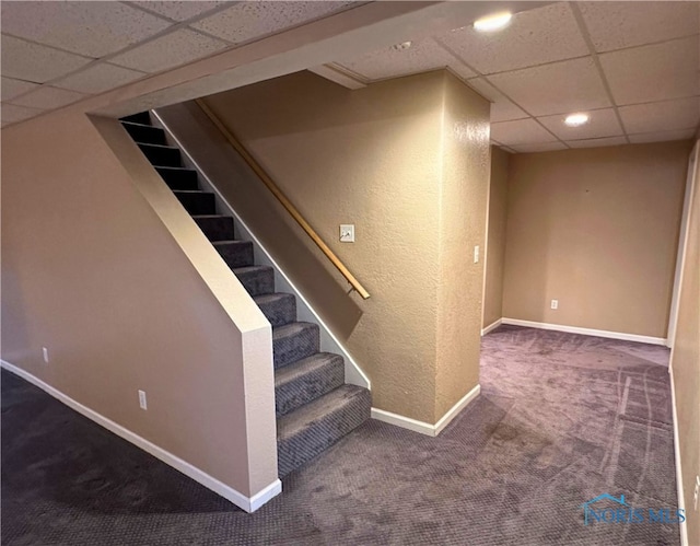 basement with a paneled ceiling and carpet floors