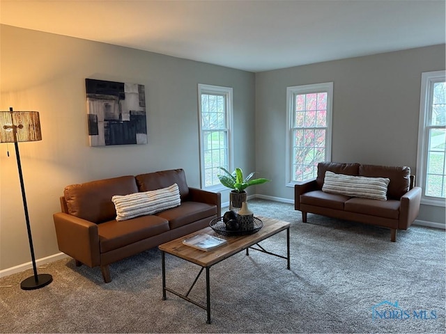 carpeted living room with a healthy amount of sunlight