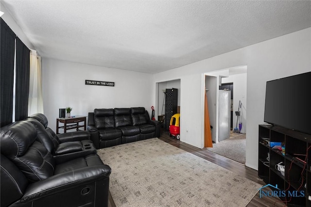 living room featuring wood-type flooring and a textured ceiling