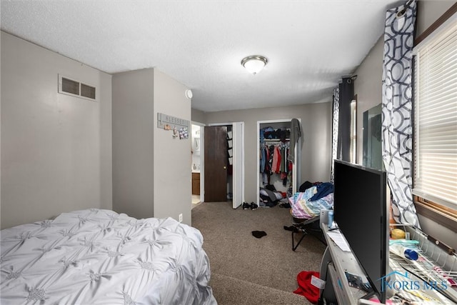 bedroom featuring carpet flooring, a textured ceiling, multiple windows, and a closet