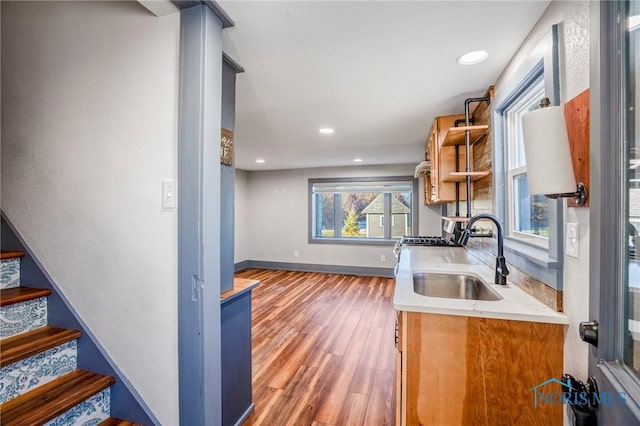 kitchen with wood-type flooring and sink