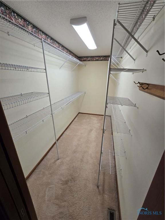 spacious closet featuring carpet floors