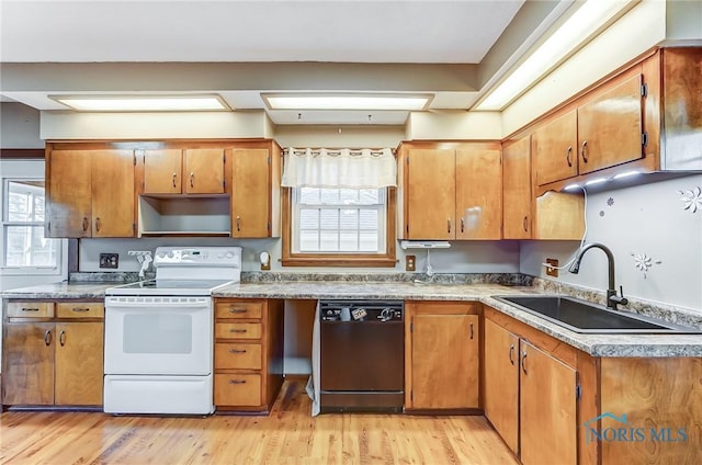 kitchen featuring dishwasher, light hardwood / wood-style floors, electric stove, and sink