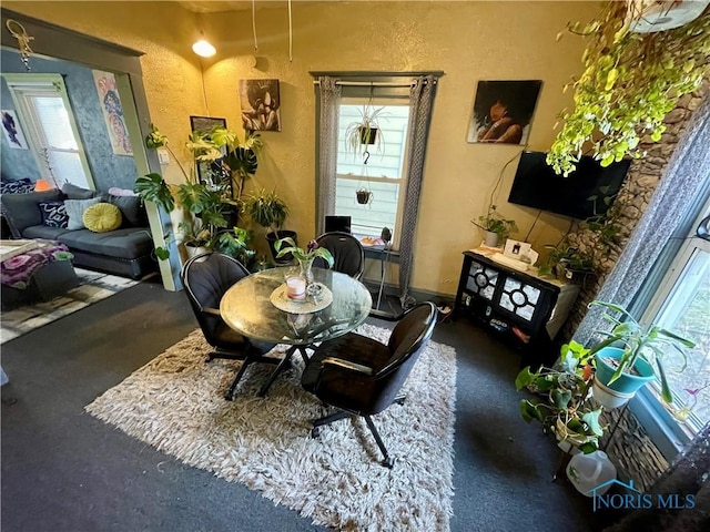 dining area featuring a healthy amount of sunlight