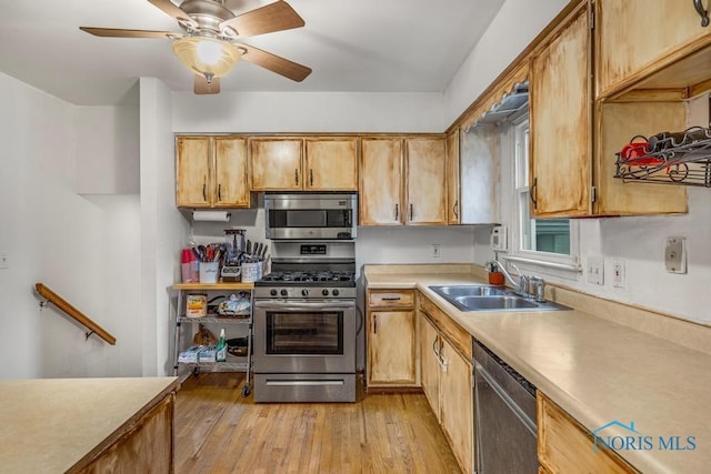 kitchen with ceiling fan, light hardwood / wood-style floors, sink, and stainless steel appliances