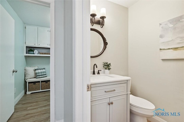 bathroom featuring vanity, hardwood / wood-style flooring, and toilet