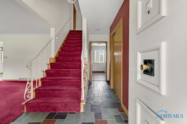 staircase featuring carpet floors