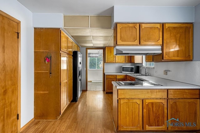 kitchen featuring light wood-type flooring, stainless steel appliances, and sink