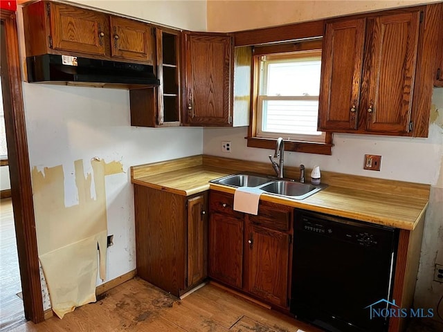 kitchen featuring dishwasher, light hardwood / wood-style flooring, and sink